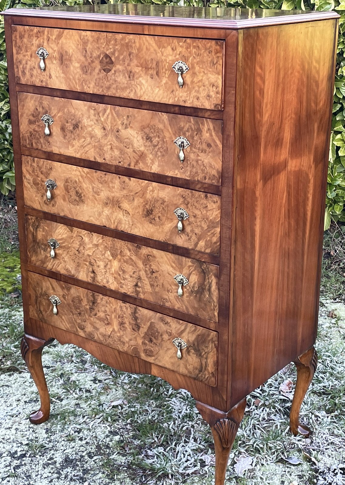 s-l1600-1232.jpg Superb Art Deco Walnut Tall Chest of Drawers - Image 1